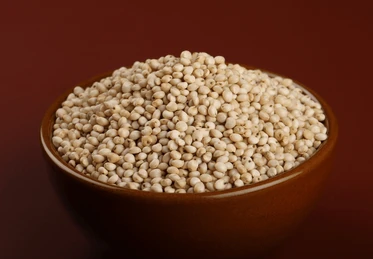 Jowar (White Cholam)